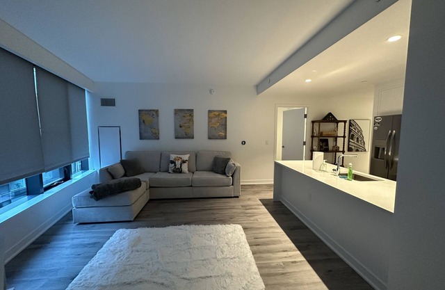 Spacious apartment in the heart of DC, steps to Nationals stadium & Navy Yard