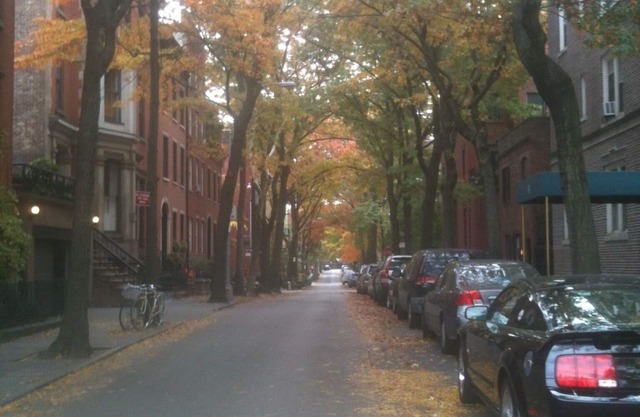 Encanto Brooklyn Heights 1 dormitorio