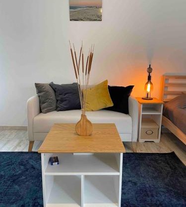 Spacious Studio in Sunny Villa Minutes to Beach