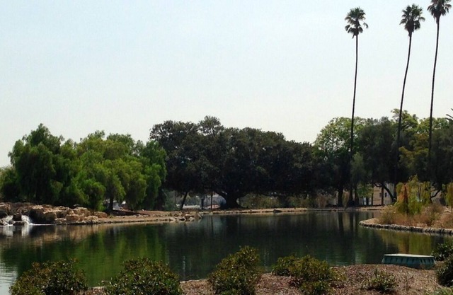 Lake View Español en Transitable Silverlake- magnífica remodelación, vista del lago secreto
