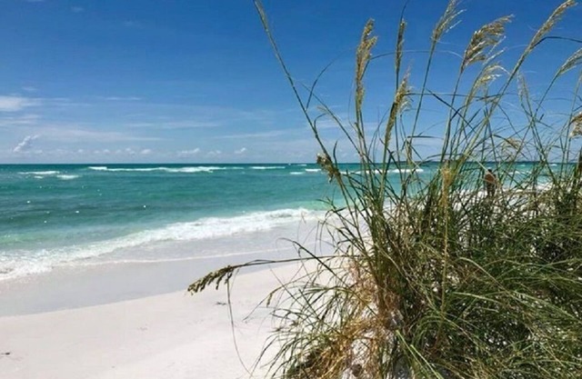 St Pete Dtwn + 15 minutos a la playa + Alquiler grande y hermoso con 2 bicicletas para recorrer st pete!