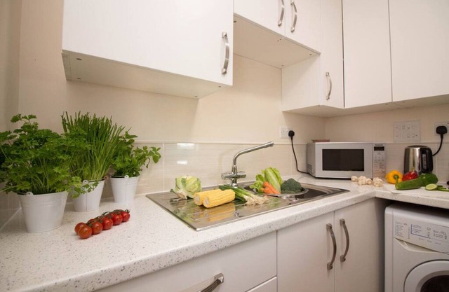Stayzo Castle Penthouse 18- A Clean Fresh Modern Apartment With Free Wi-fi