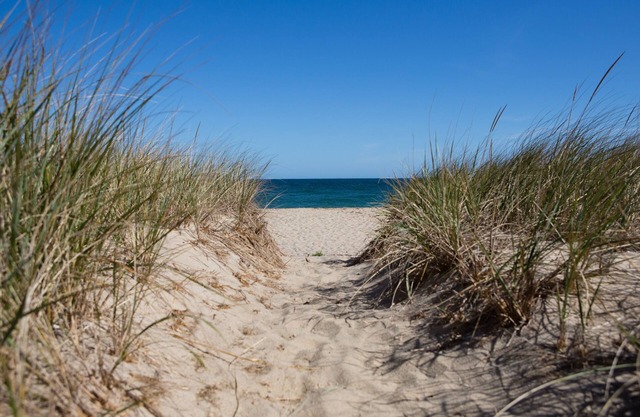 PASOS PARA SCONSET BEACH