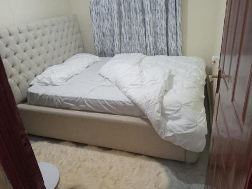 Steve Apartment