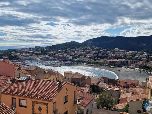 Studio à Banyuls-sur-Mer avec terrasse proche plages et commerces - FR-1-309-73