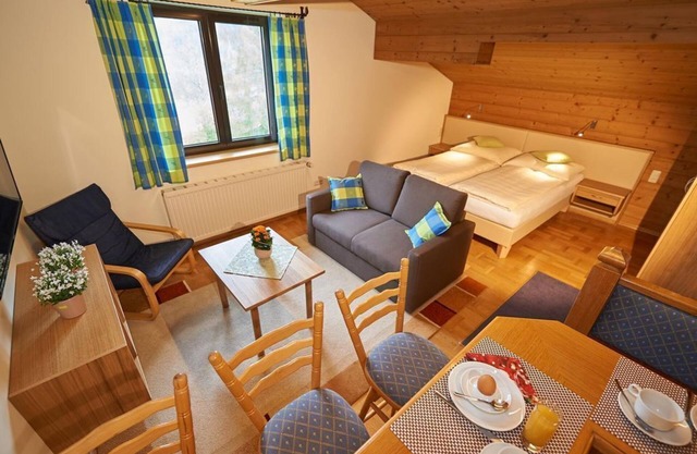 Studio 3 persons without balcony - Apartmenthotel Panorama