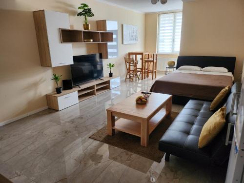 Studio apartman Borlin