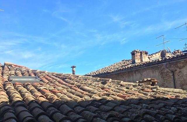 Estudio en Urbino (Italia) Centro ciudad