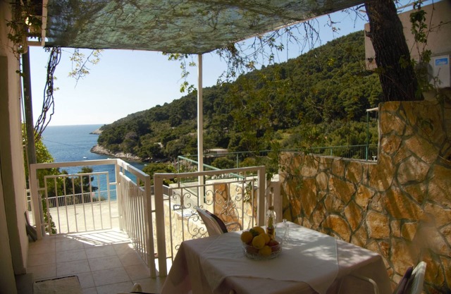 Apartamento-estudio con terraza y vista al mar Bahía Saplunara, Mljet (AS-12849-a)