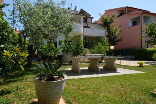 Studio in Pjescana Uvala - Istrien 11166