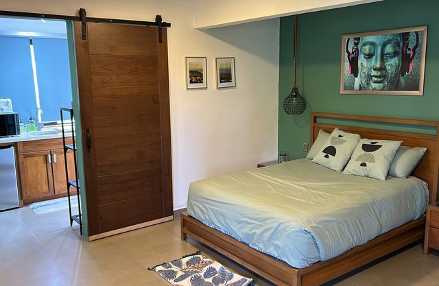Estudio en el centro de TODOS SANTOS