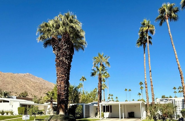 Stunning light-filled Mid-Century Mod Condo in iconic Canyon View Estates.