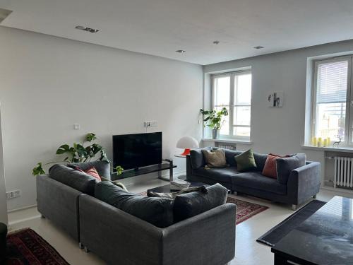 Stylish and spacious 85m2 Hakaniemi Apartment with Market Hall View Next to Metro