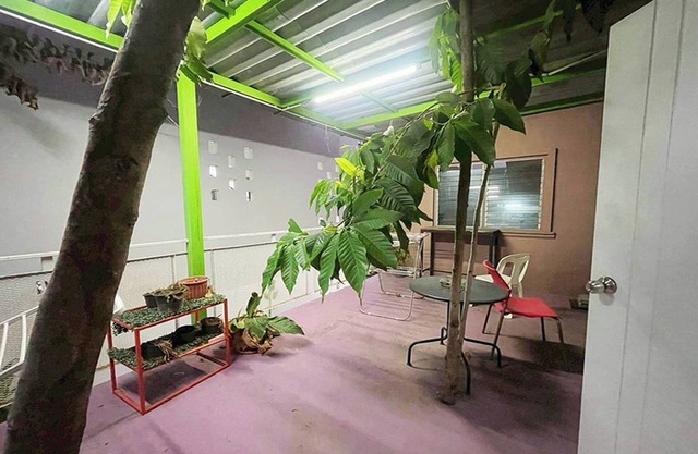 Sunshine Apartment
