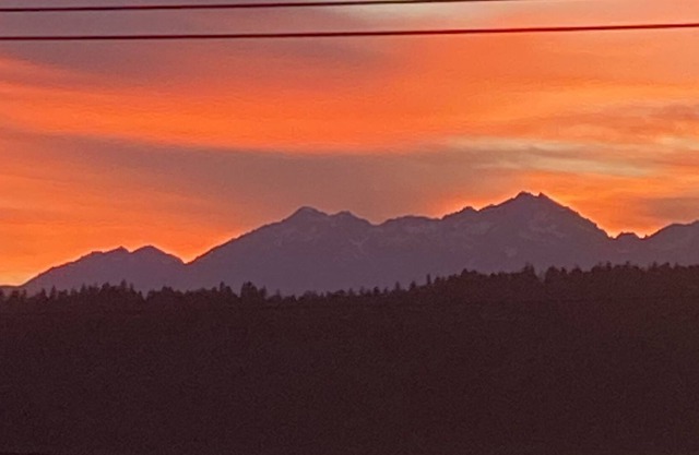 Summer, Fall, Winter & Spring - Cozy with Fabulous Views