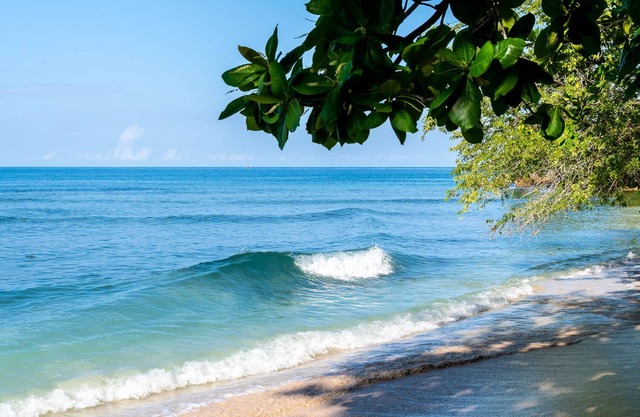 Sueños de verano tus sueños se hacen realidad.
