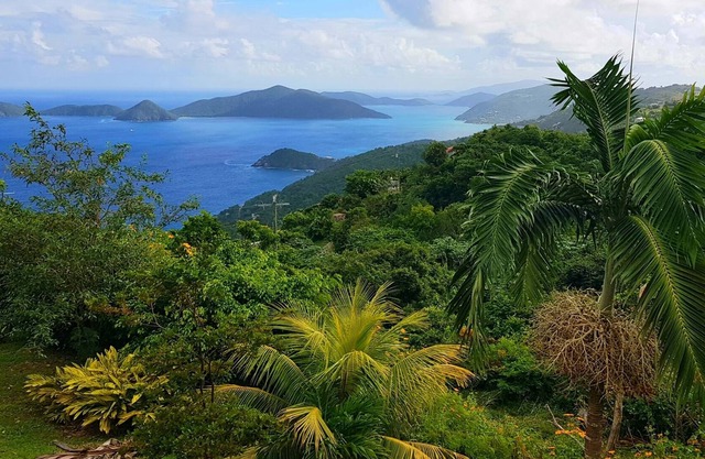 SUNFLOWER LANE- OCEAN/ISLAND VIEW APARMENT 2BDR 2BTH - 7 mins from Capital/Beach