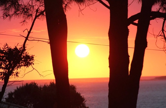 Pyla Sur Mer: Casa / villa / chalet - Pyla sur Mer