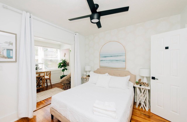 Sunshine and palms tropical retreat in Saint Petersburg