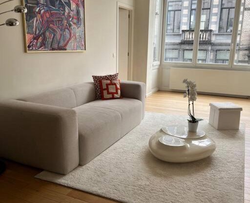 Superbe appartement bruxellois