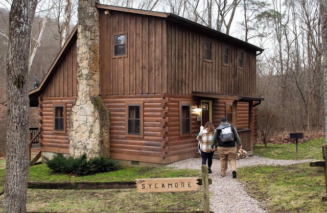 Sicomoro | Colinas de Hocking