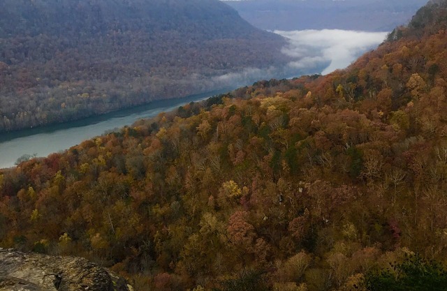 ¡Gran Cañón de Tennessee! 10 minutos del centro de Chattanooga!