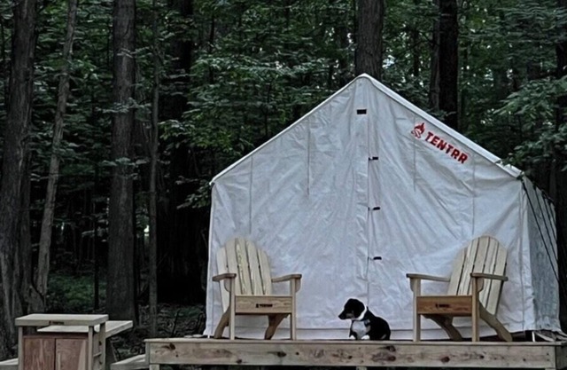 Tentrr Signature Site - Orchard and Gorge Tent at South Hill Cider - Site #2