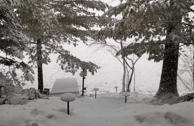 Nuevo en 2019: The Cedar Lakehouse