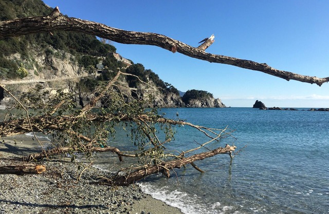 THE FIVE SAILS*****Cinque Terre Luxury House