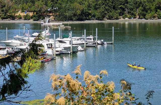 "THE OUTBACK" Waterfront Home on Mitchell Bay San Juan Island