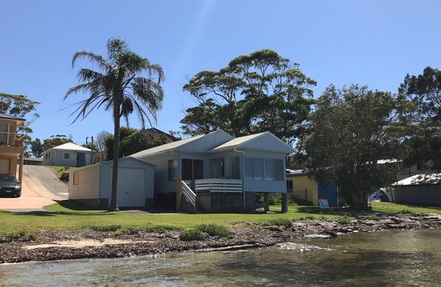 La casa de la palmera