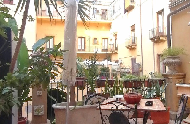 The terrace