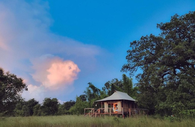 The Untamed Bandhavgarh