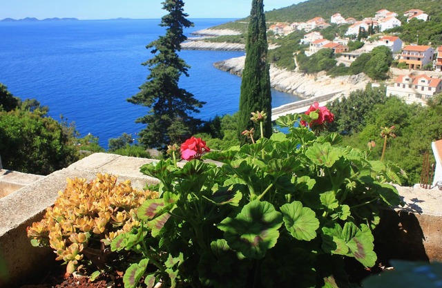 Apartamento de tres habitaciones con terraza y vista al mar Zavalatica, Korcula (A-9690-b)