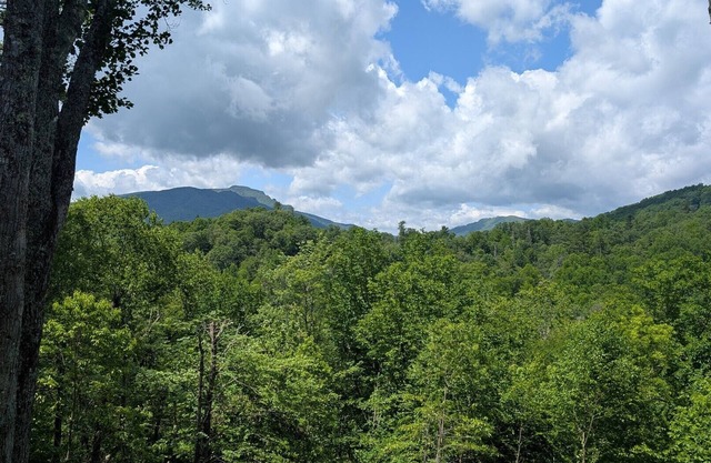 Timbers F- 2: Mountain Condo, Echota Gated Resort, Indoor/Outdoor Pools and Hot Tub, Fitness Area...