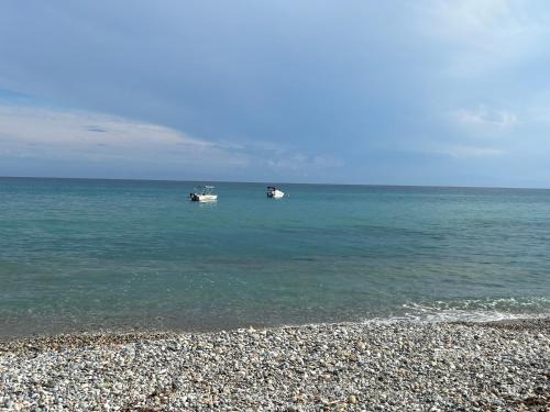Tiny apartment in Chalkidiki!