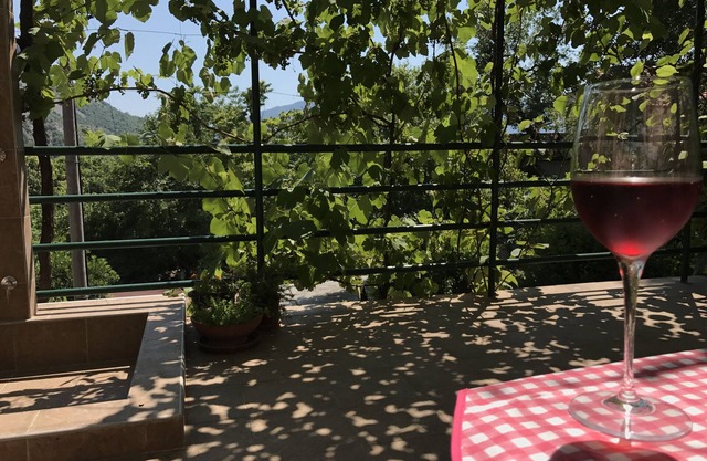 Tranquilidad y comodidad: amplio estudio y terraza, relájese bajo el dosel de la vid.