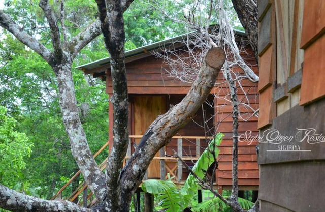 Tree house sigiri queens rest