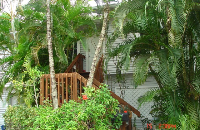 Treetops Private Cozy Tranquil Cottage / Imperial River w / Dock, vida salvaje, kayaks
