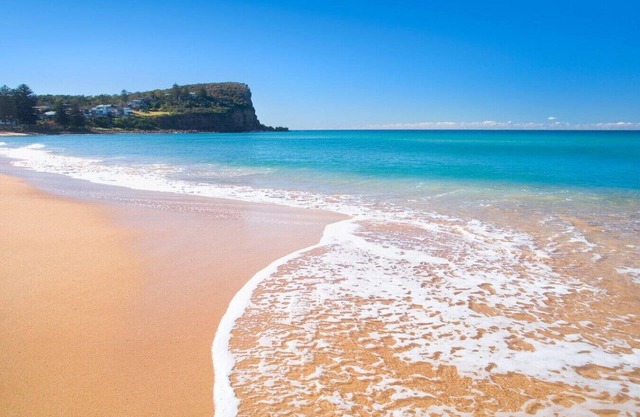 Oasis Tropical - Avalon Beach, NSW