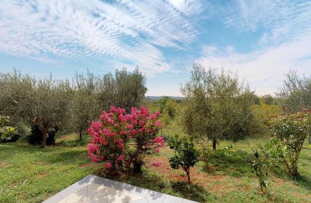 Apartamento para dos personas con una terraza Vilanija, Umag (A-17240-a)