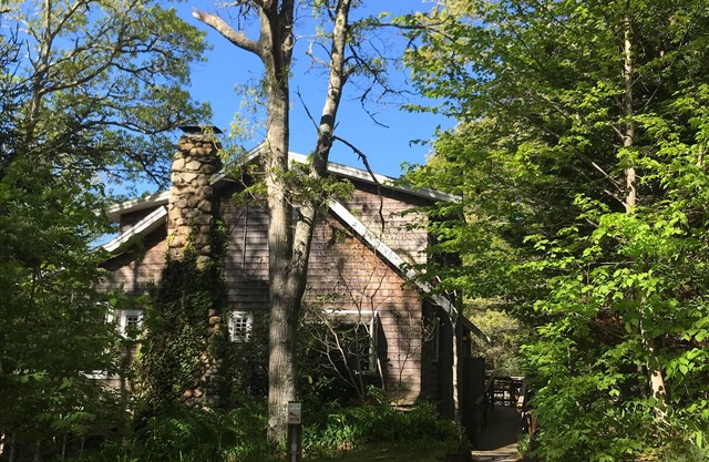 Casa única en Woods cerca de Craigville Beach, Centreville, Family and Pet Friendly