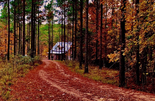 Nueva y tradicional cabaña de troncos de Kentucky EN EL RÍO ¡NUEVA CONSTRUCCIÓN! Lo mejor en Mentone