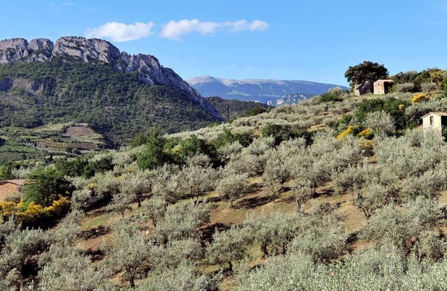 vista de la montaña nible