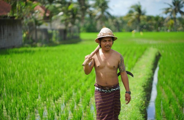 Villa Mandi Resort & Spa