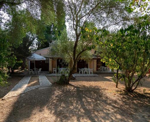 Villa Olive apartments