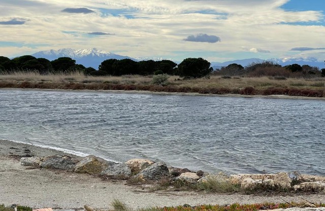 Villa Port Leucate pieds dans l eau 6 personnes
