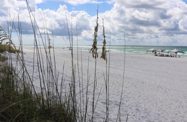 Villas on the Gulf by Surfside VR