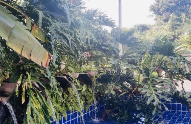 Vrbo Property
