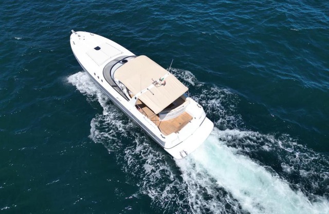 Waveoflovecharter
